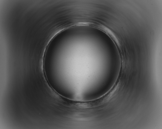 X0000093121194200710031328