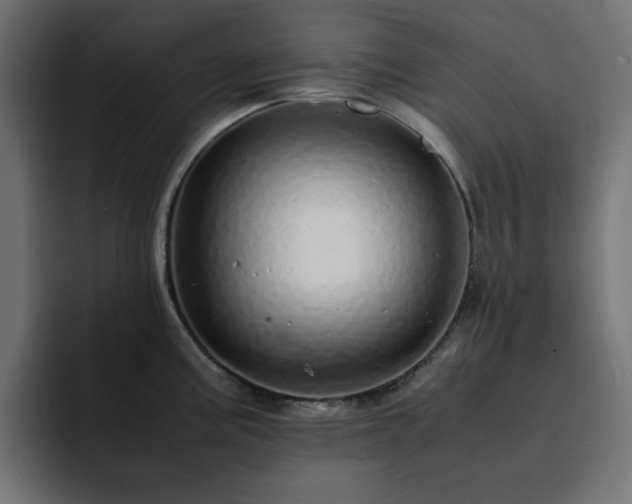 X0000093121195200710031328