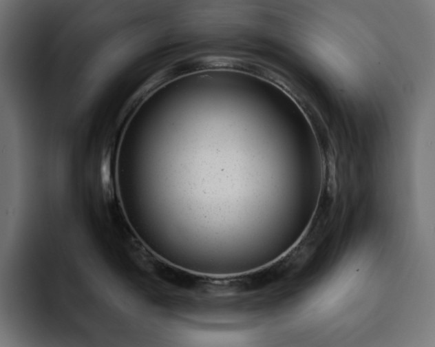 X0000093121198200710031328