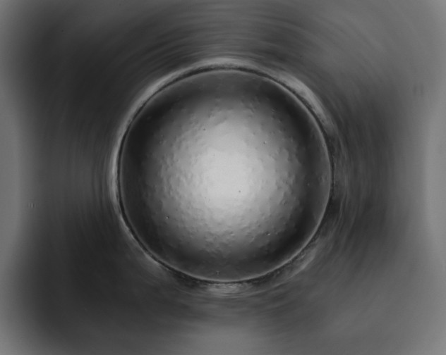 X0000093121199200710031328
