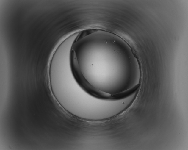 X0000093121200200710031328