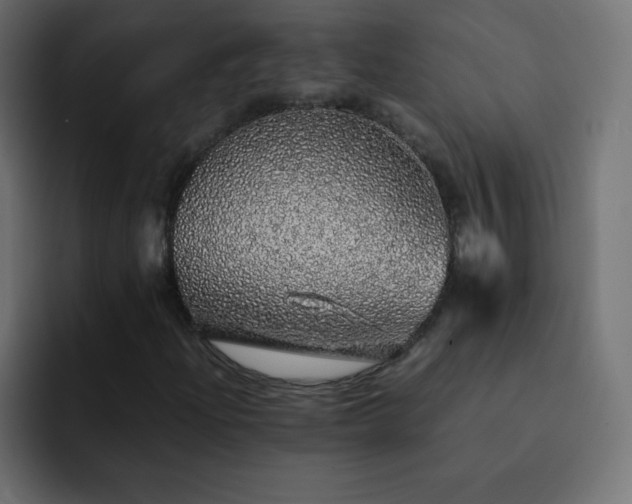 X0000093121204200710031328