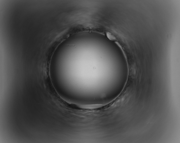 X0000093121205200710031328