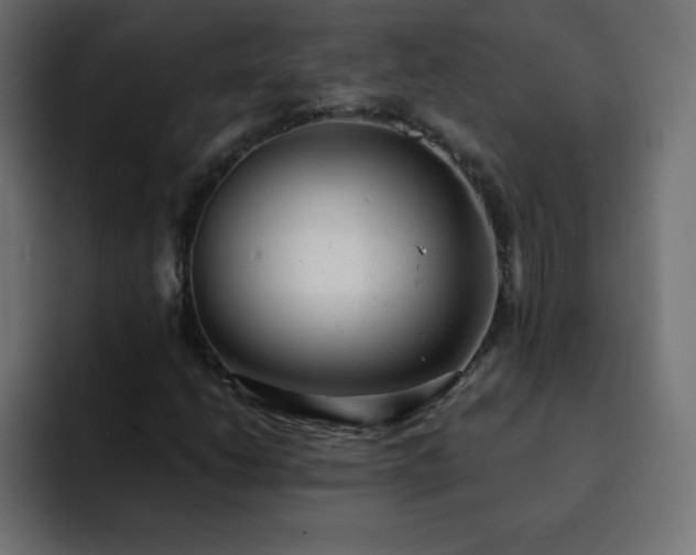 X0000093121206200710031328