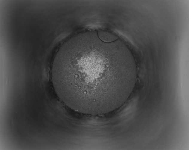 X0000093121207200710031328