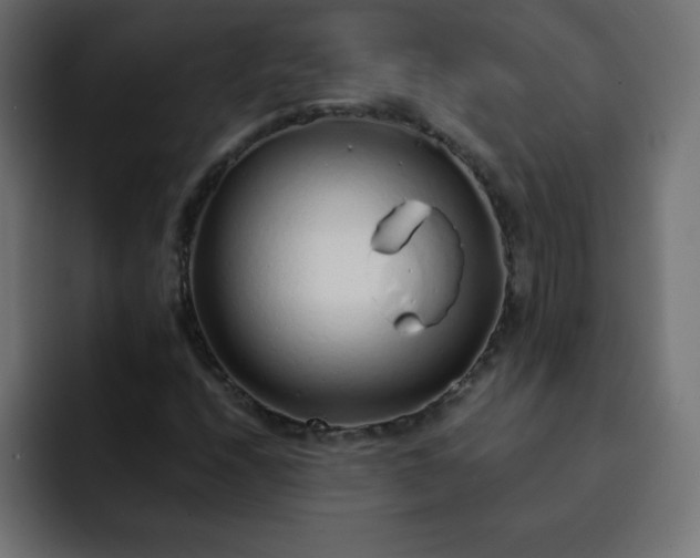 X0000093121208200710031328