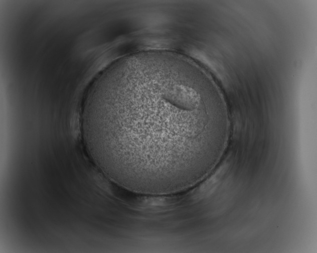 X0000093121211200710031328