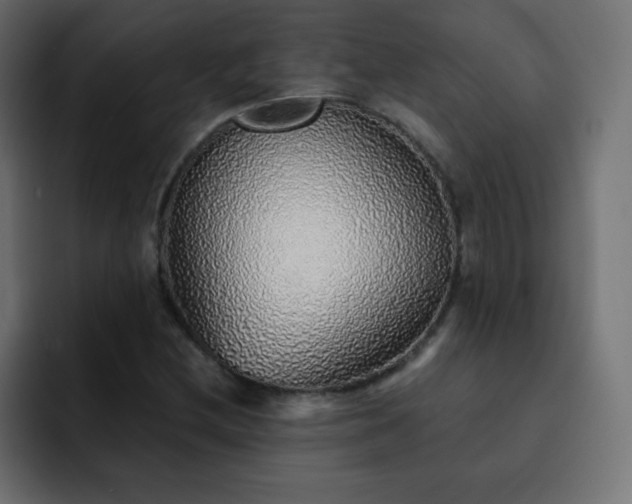 X0000093121212200710031328