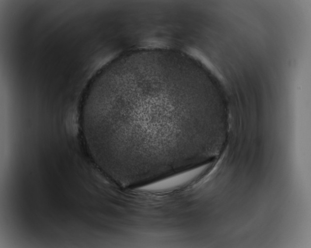 X0000093121213200710031328