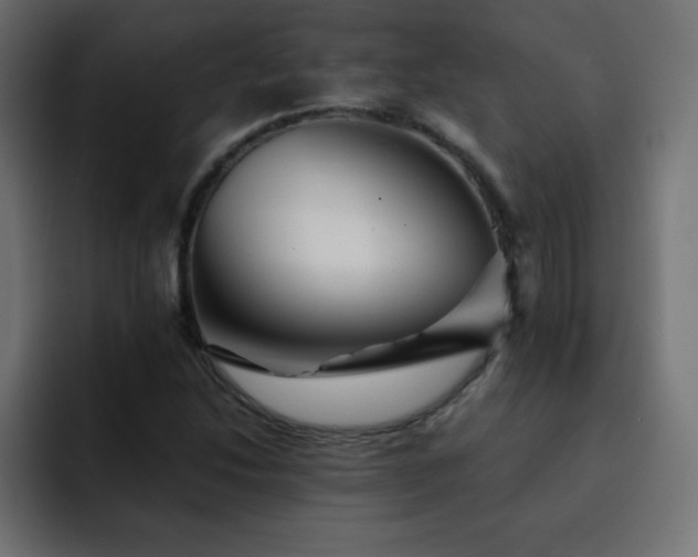 X0000093121214200710031328