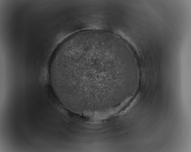 X0000093121215200710031328