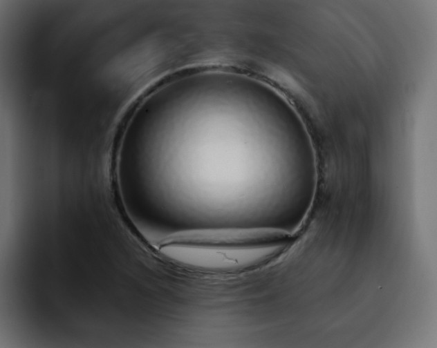 X0000093121216200710031328