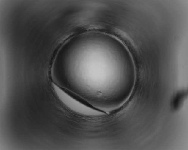 X0000093121217200710031328