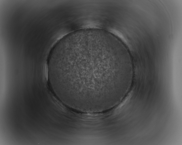 X0000093121219200710031328