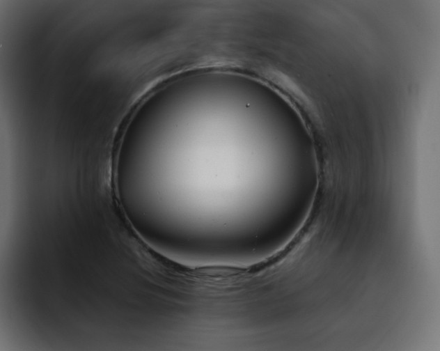 X0000093121220200710031328