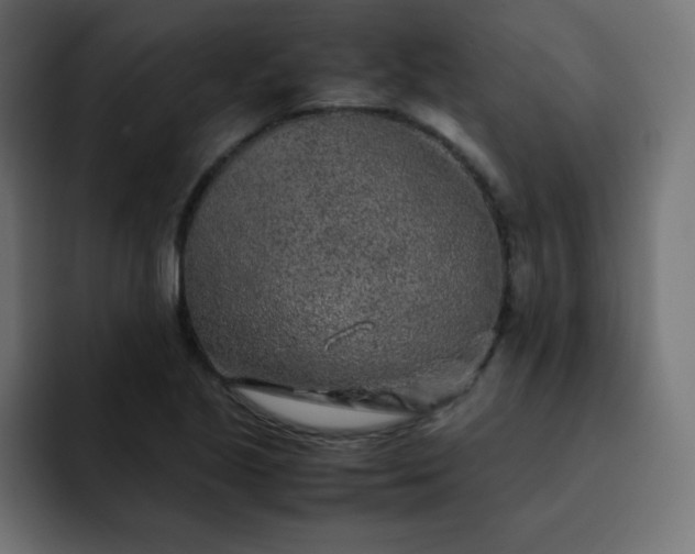 X0000093121221200710031328