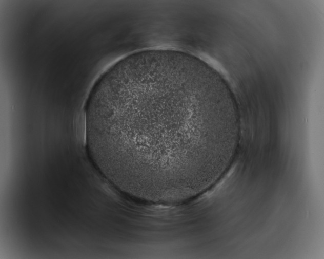 X0000093121223200710031328
