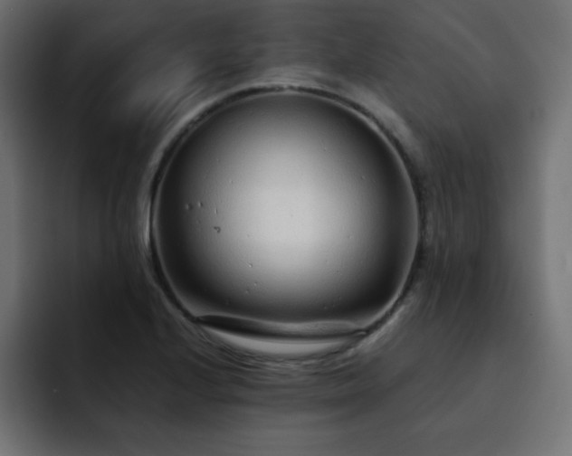 X0000093121224200710031328