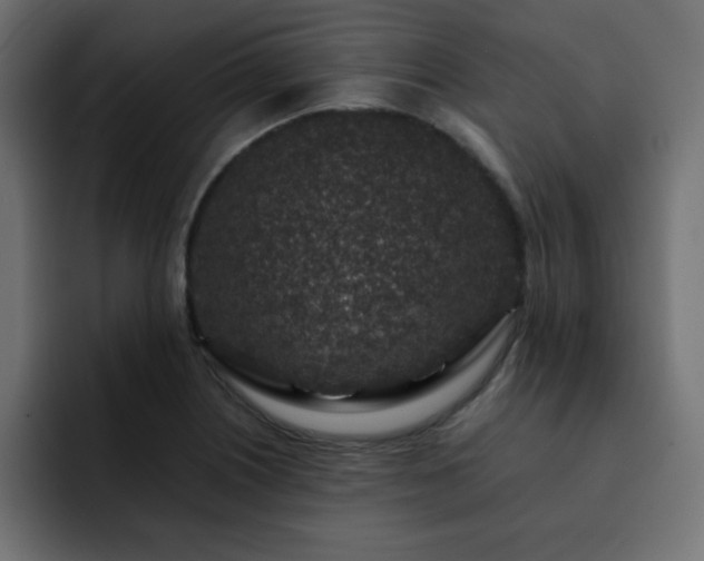 X0000093121226200710031328