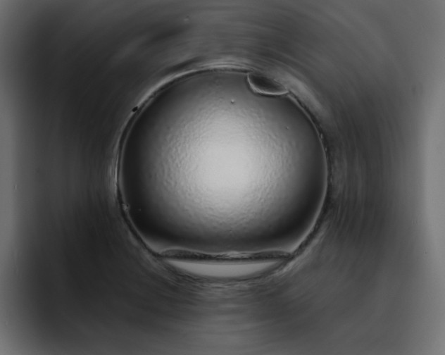 X0000093121228200710031328
