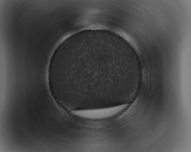 X0000093121229200710031328