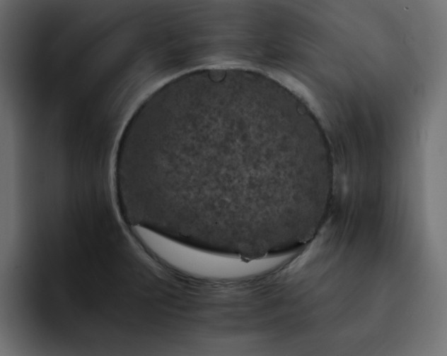 X0000093121231200710031328