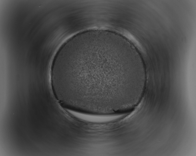 X0000093121232200710031328