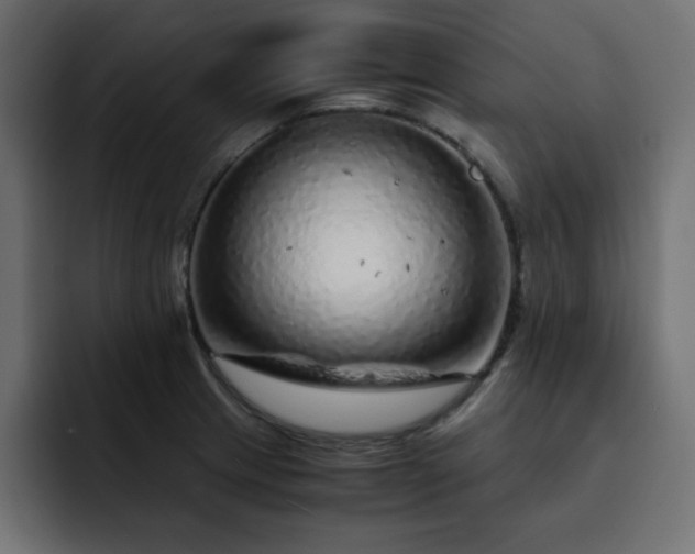X0000093121233200710031328