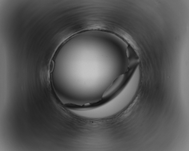 X0000093121234200710031328
