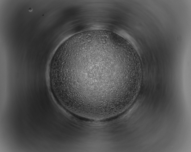 X0000093121235200710031328