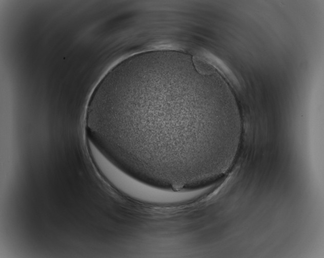 X0000093121236200710031328