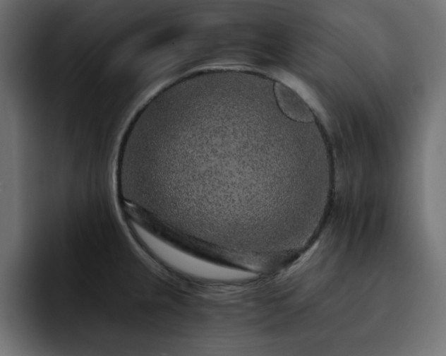 X0000093121237200710031328