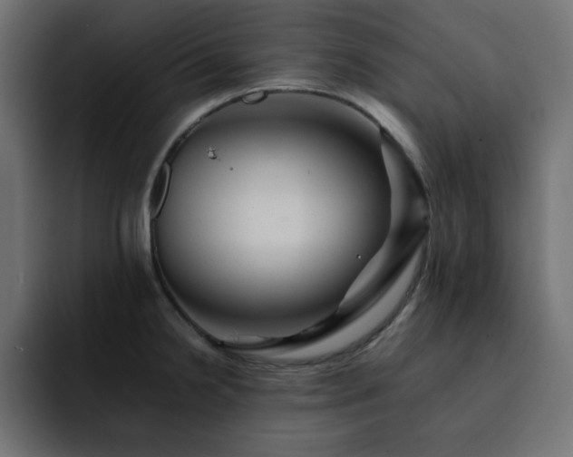 X0000093121238200710031328