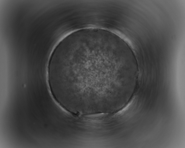 X0000093121239200710031328