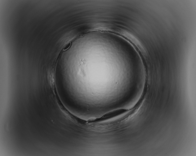 X0000093121241200710031328