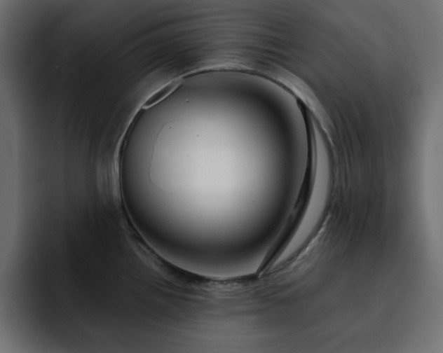 X0000093121242200710031328