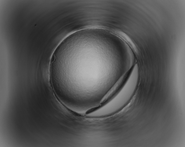 X0000093121244200710031328