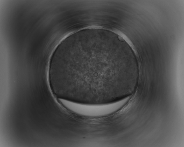X0000093121245200710031328