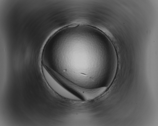 X0000093121248200710031328