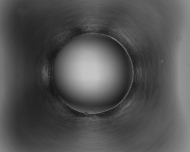 X0000093121250200710031328