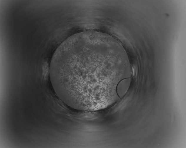 X0000093121251200710031328