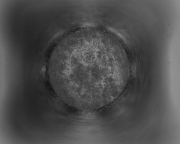 X0000093121254200710031328