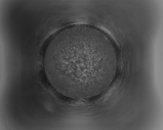 X0000093121255200710031328