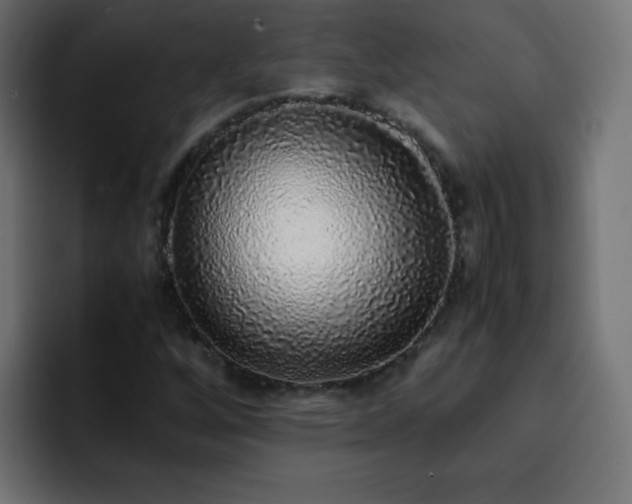 X0000093121256200710031328
