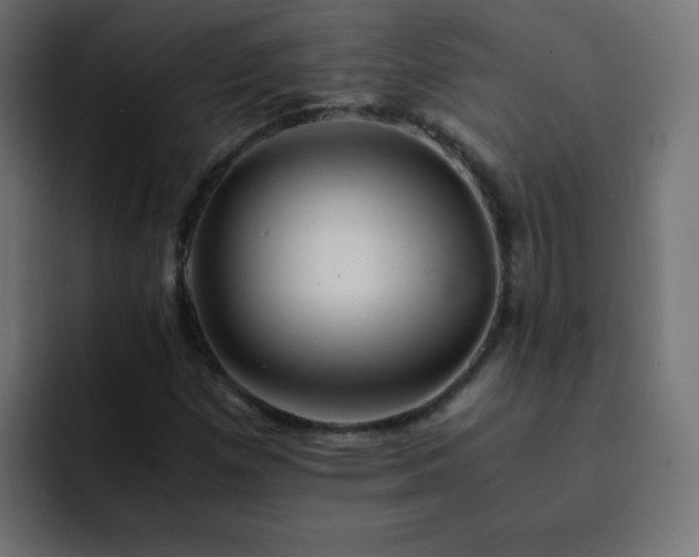 X0000093121257200710031327