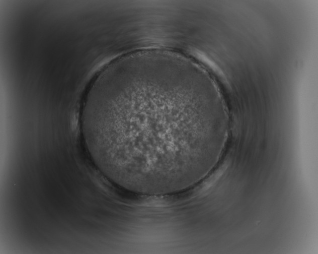X0000093121259200710031327