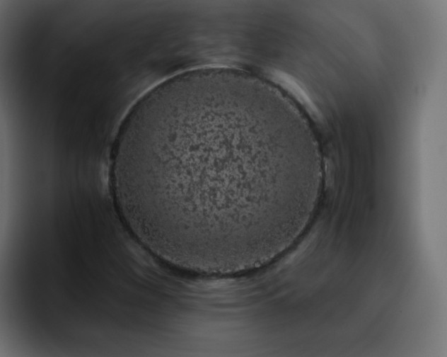 X0000093121260200710031327