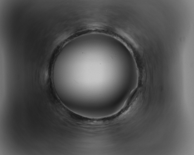 X0000093121261200710031327