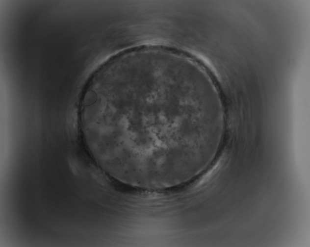 X0000093121263200710031327