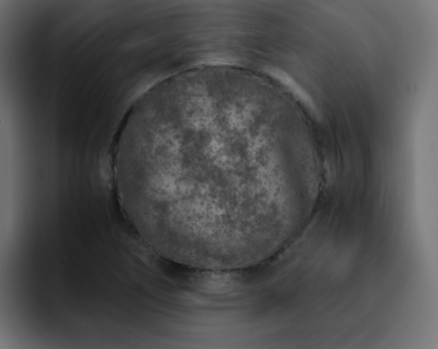 X0000093121266200710031327